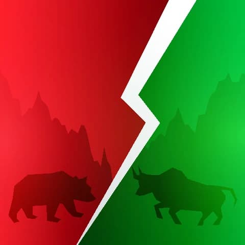 Bull Market e Bear Market