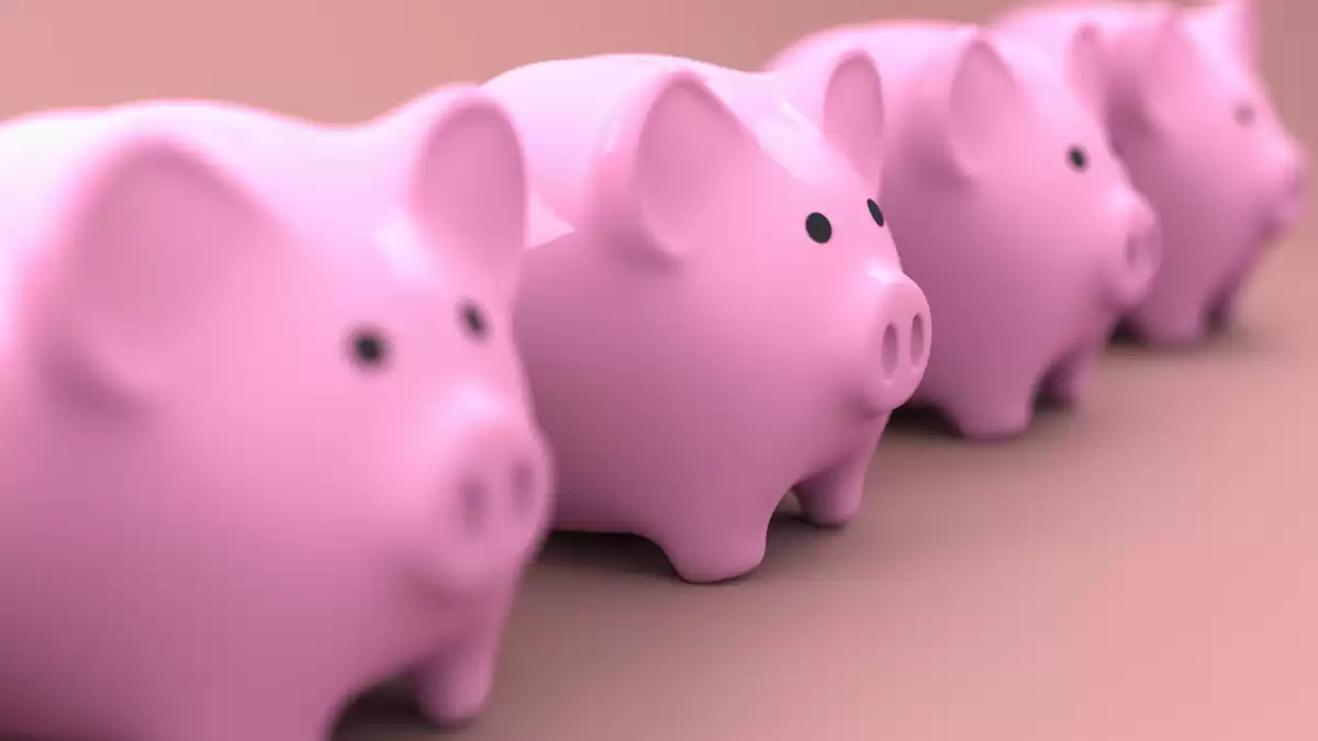 Como cuidar melhor do seu dinheiro sem ser um expert no assunto - começando hoje!